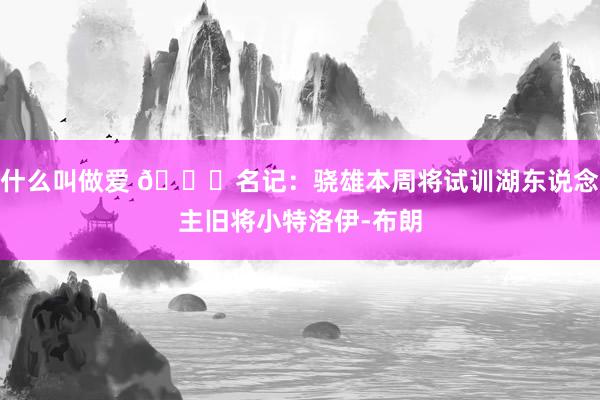 什么叫做爱 👀名记：骁雄本周将试训湖东说念主旧将小特洛伊-布朗