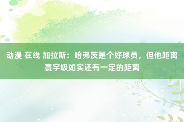 动漫 在线 加拉斯：哈弗茨是个好球员，但他距离寰宇级如实还有一定的距离