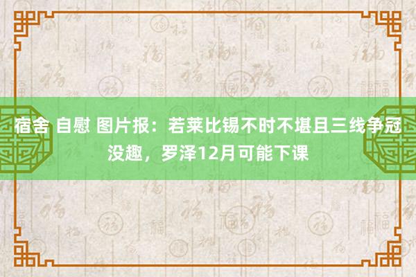 宿舍 自慰 图片报：若莱比锡不时不堪且三线争冠没趣，罗泽12月可能下课